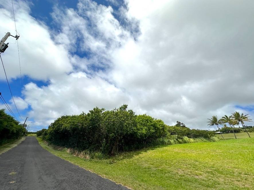 KIA KAHI ST Land for Sale in NAALEHU 670218 Hawaii Life