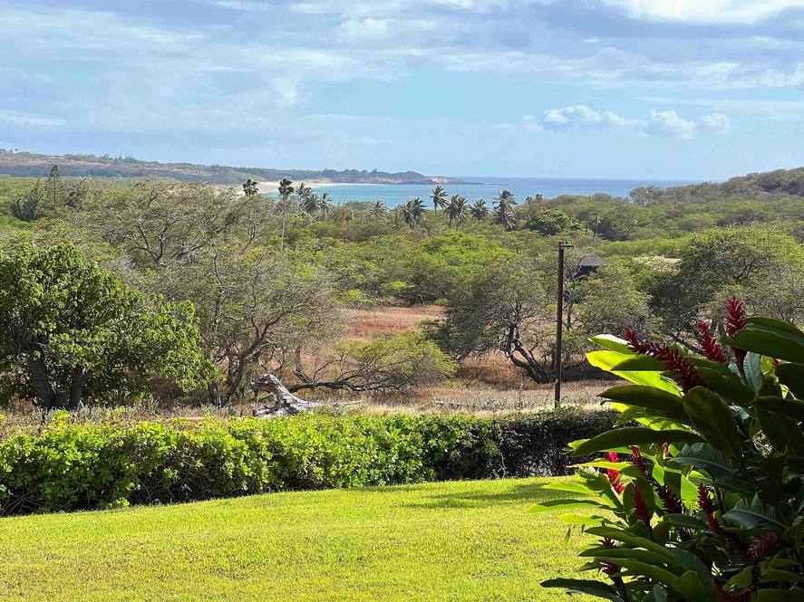 50 Kepuhi Pl 115 Condo for Sale in Maunaloa 399273 Hawaii Life