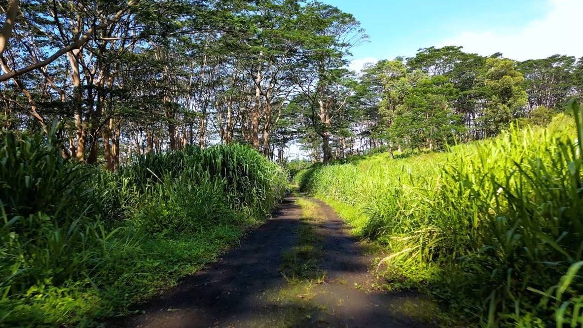 Lot 31 Moa'ula Land for Sale in Pahala 669870 Denise Nakanishi