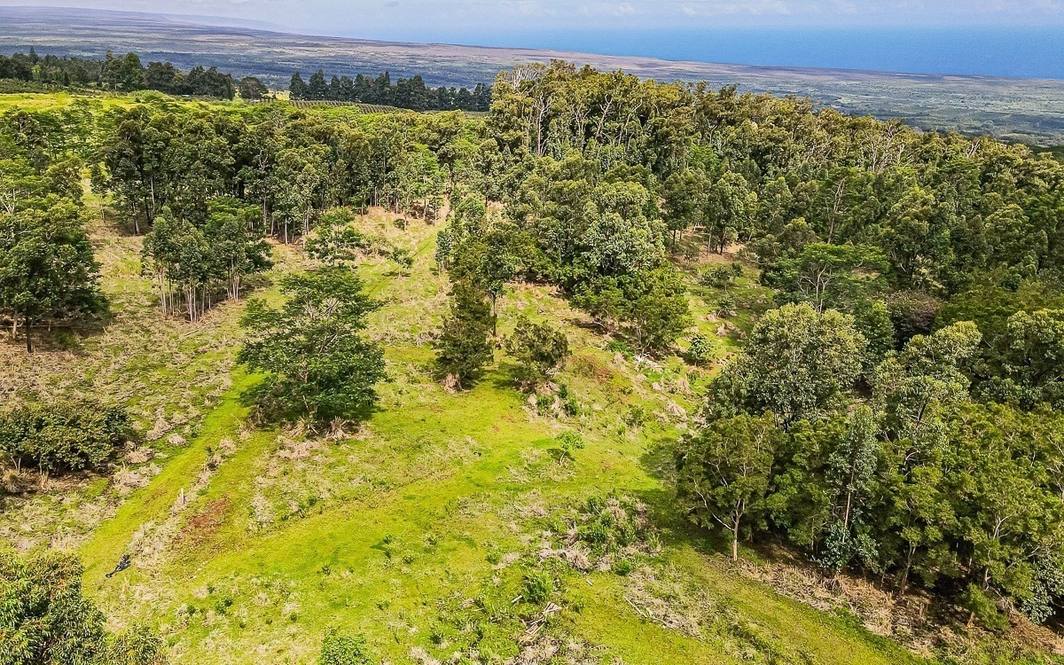 Lot 31 Moa'ula Land for Sale in Pahala 669870 Denise Nakanishi