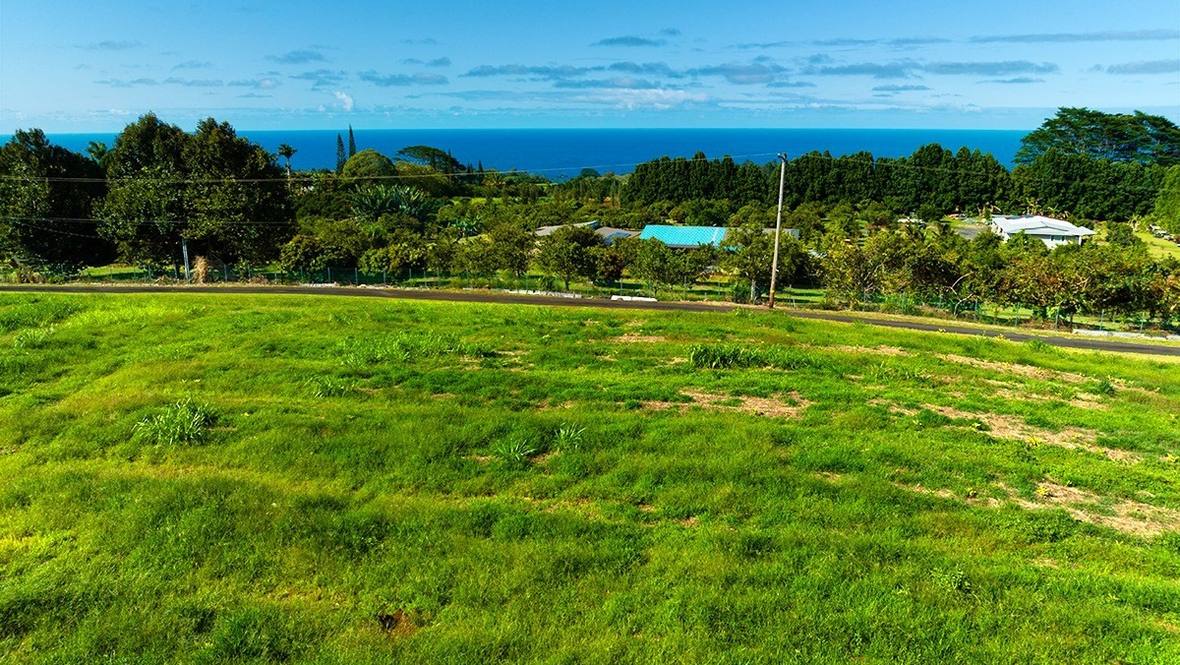 CHIN CHUCK RD Land for Sale in HAKALAU 670350 Renee Hill Hawaii