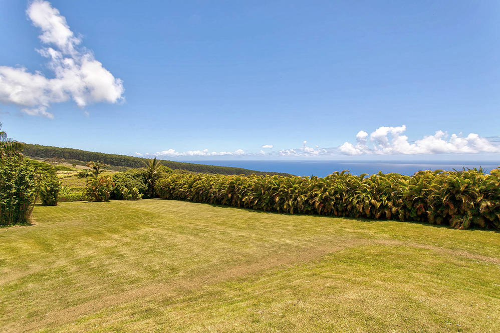 36415 MANOWAIOPAE HOMESTEAD RD House for Sale in LAUPAHOEHOE