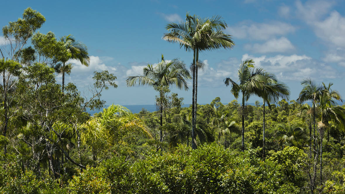 3269 KAIWIKI RD House for Sale in HILO 702636 Hawaii Life