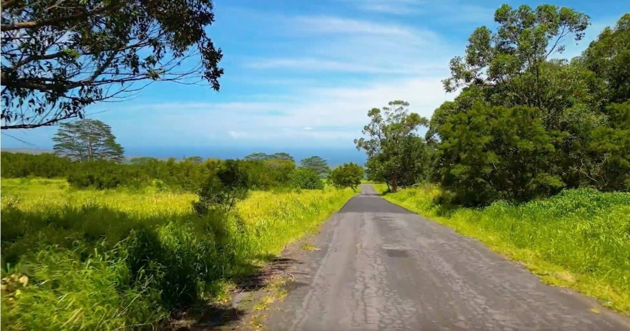 Lot 33 Moa'ula Land for Sale in Pahala 662446 Denise Nakanishi