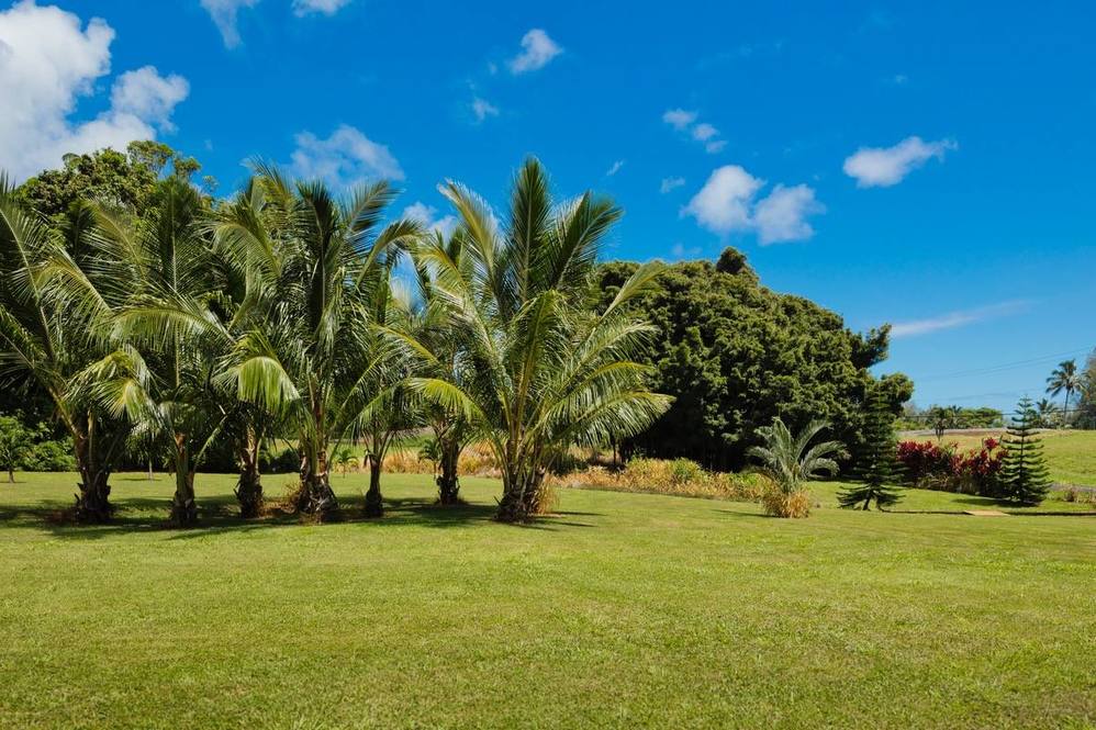 283033 BEACH RD House for Sale in PEPEEKEO 703419 Hawaii Life