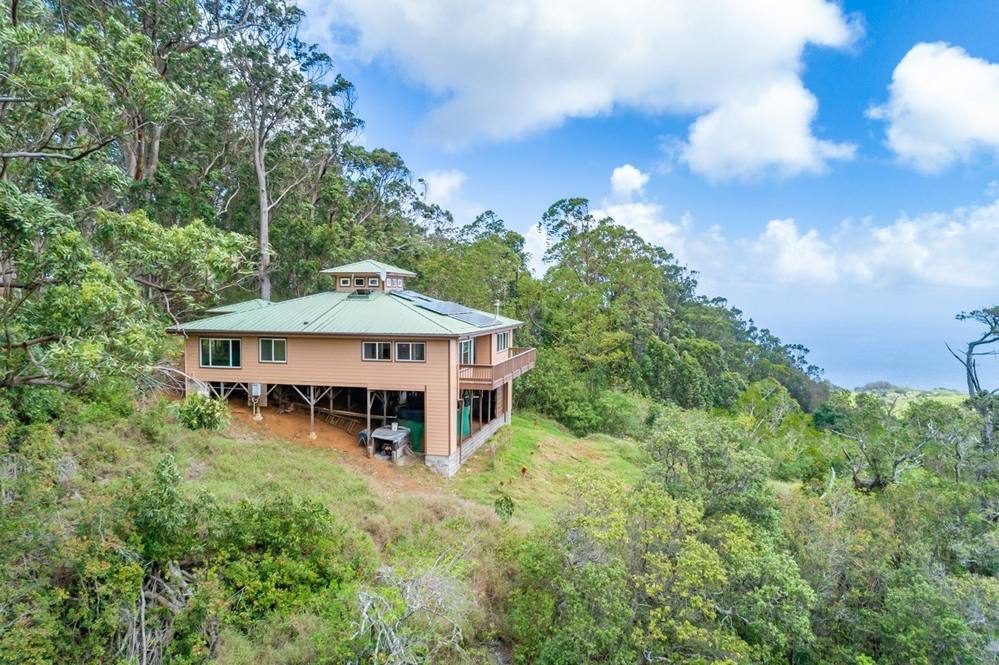 474500 CANE HAUL RD House for Sale in HONOKAA 669898 Dan