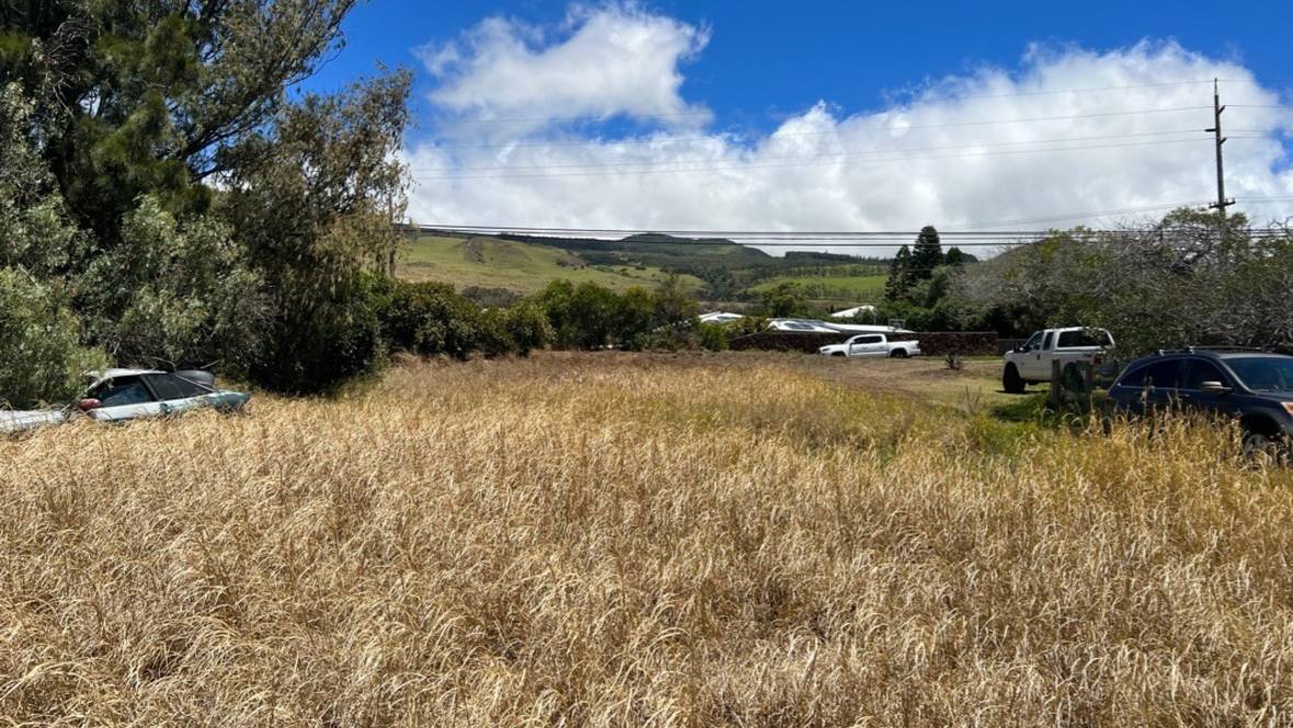 Land for Sale in KAMUELA 670724 Hawaii Life