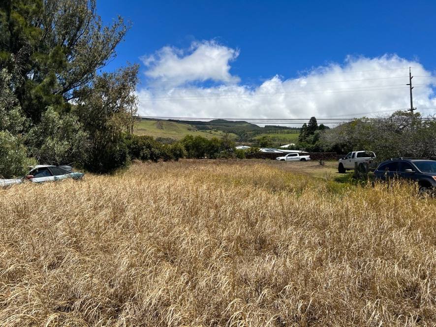 Land for Sale in KAMUELA 670724 Hawaii Life