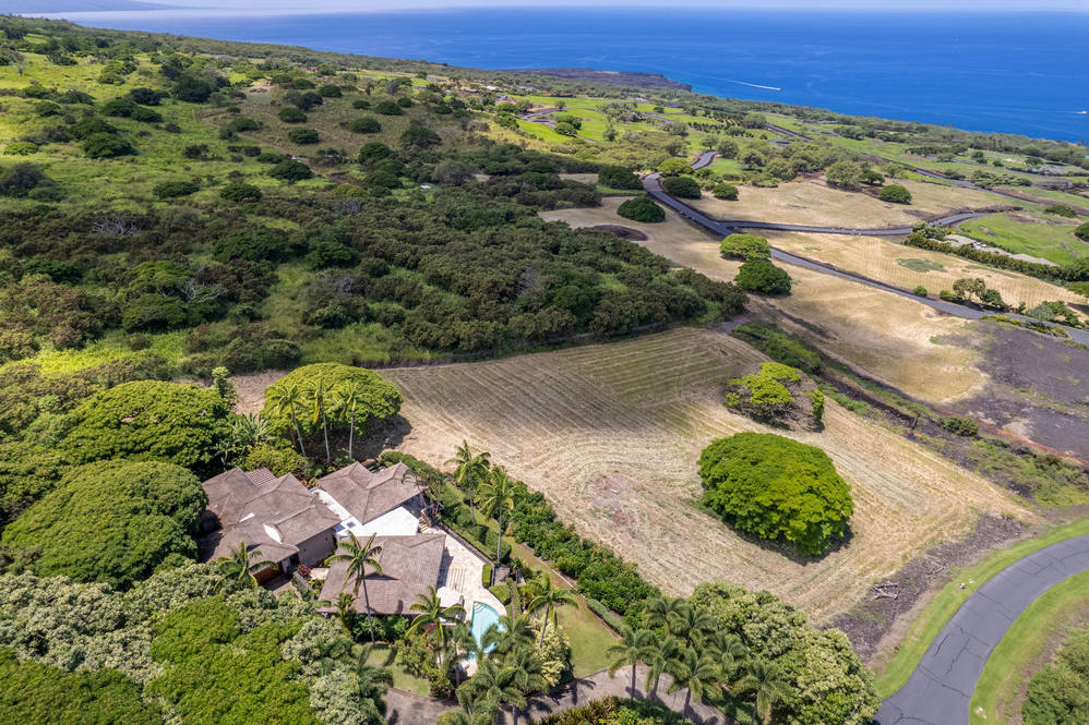 816641 AUAMO PL House for Sale in KEALAKEKUA 670576 Carrie Nicholson Hawaii Life