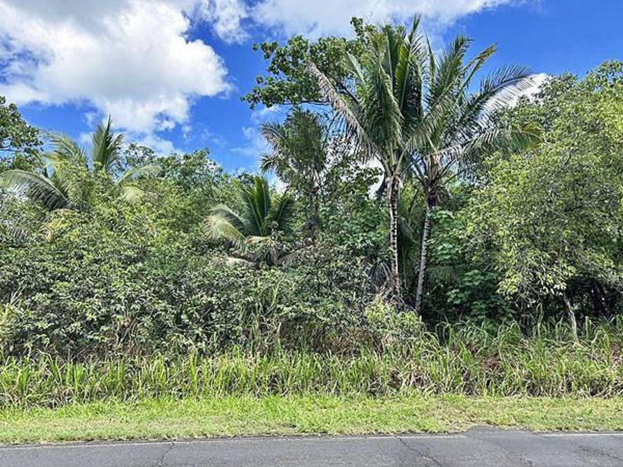 127834 KALAPANA KAPOHO BEACH RD Land for Sale in PAHOA 702928 Hawaii Life
