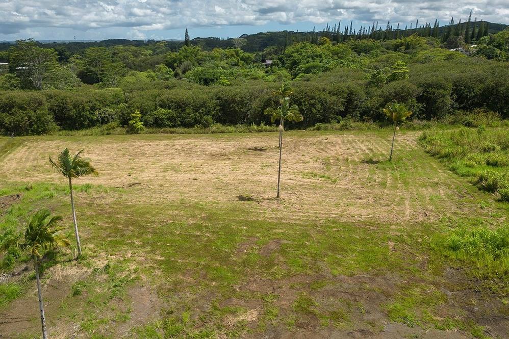 Land for Sale in KURTISTOWN 670770 Hawaii Life