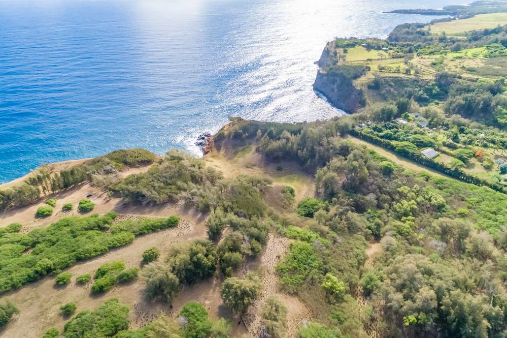 Land for Sale in KAPAAU 704163 Hawaii Life