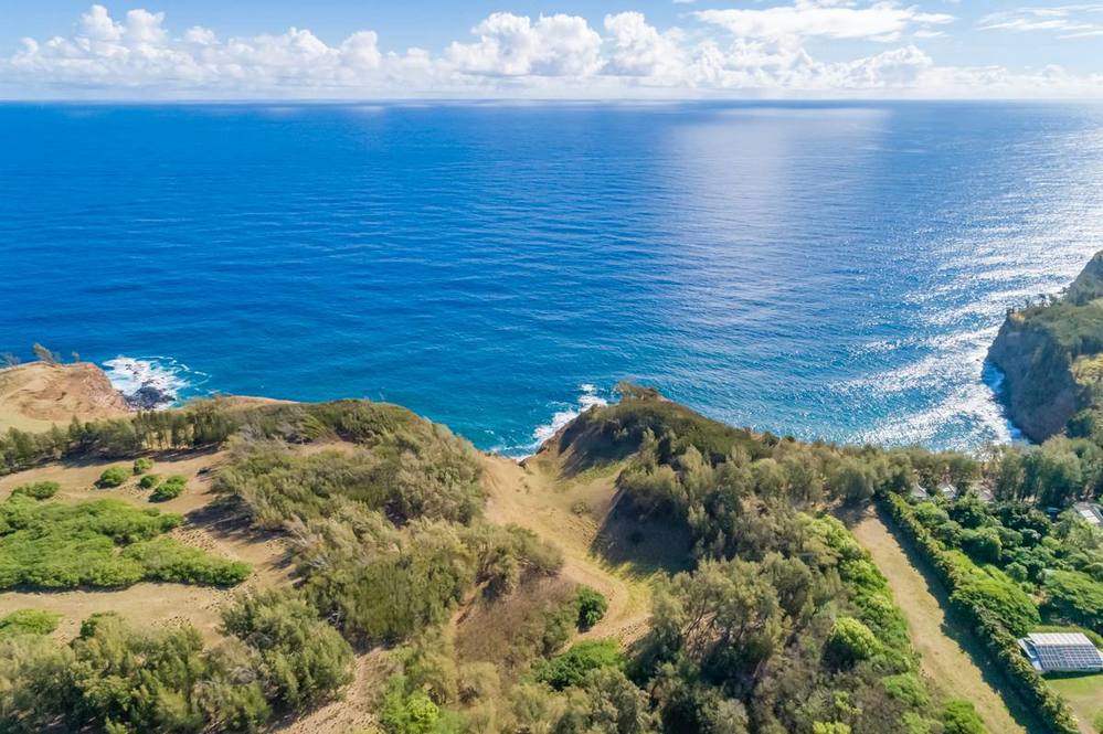 Land for Sale in KAPAAU 704163 Hawaii Life