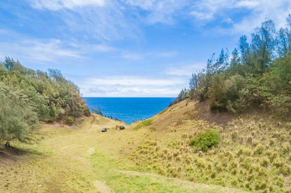 Land for Sale in KAPAAU 704163 Hawaii Life