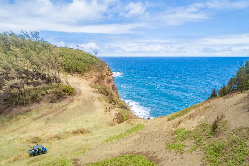 Land for Sale in KAPAAU 704163 Hawaii Life