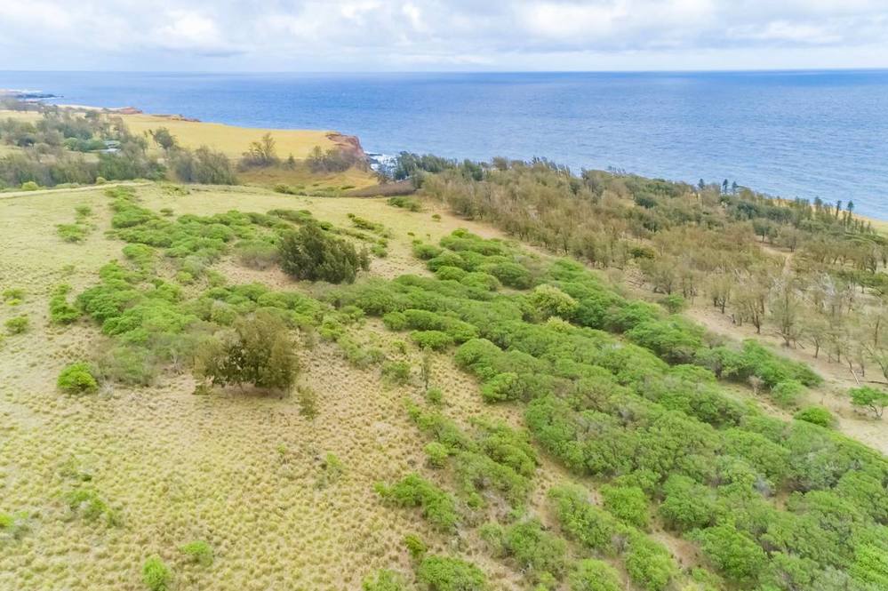 Land for Sale in KAPAAU 704163 Hawaii Life