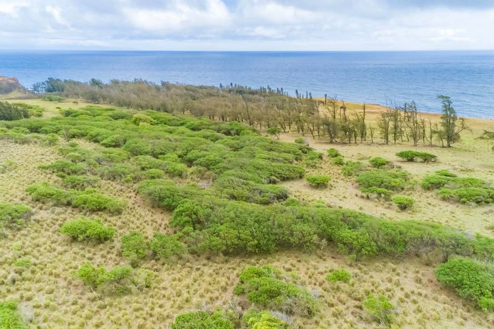 Land for Sale in KAPAAU 704163 Hawaii Life