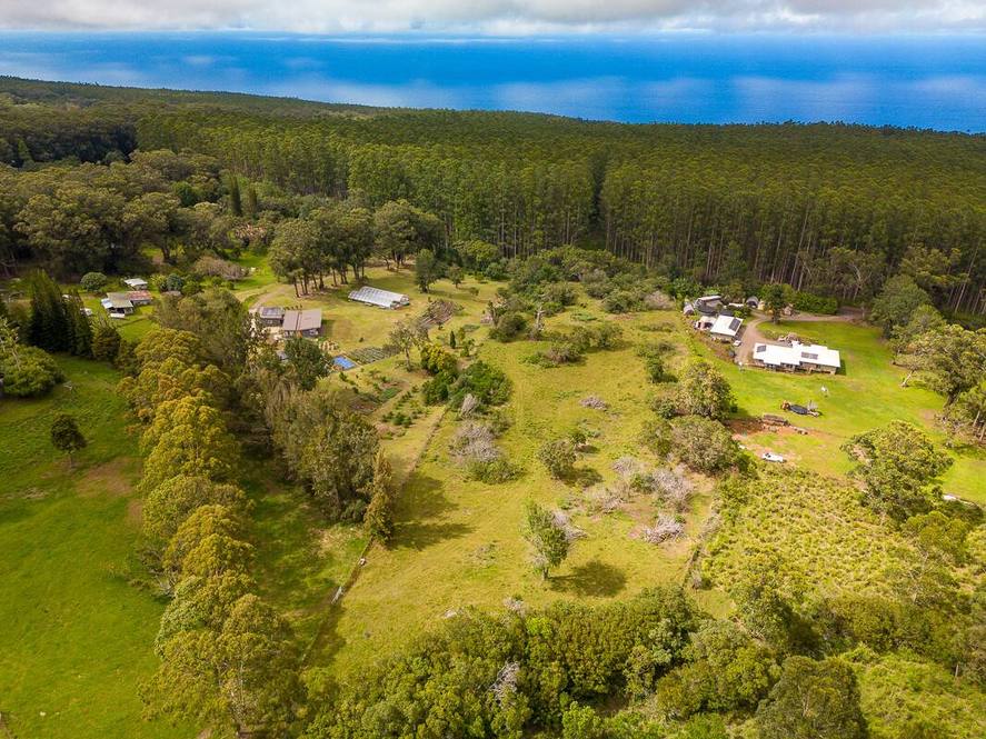 453501 PUAONO RD Land for Sale in HONOKAA 704096 Hawaii Life