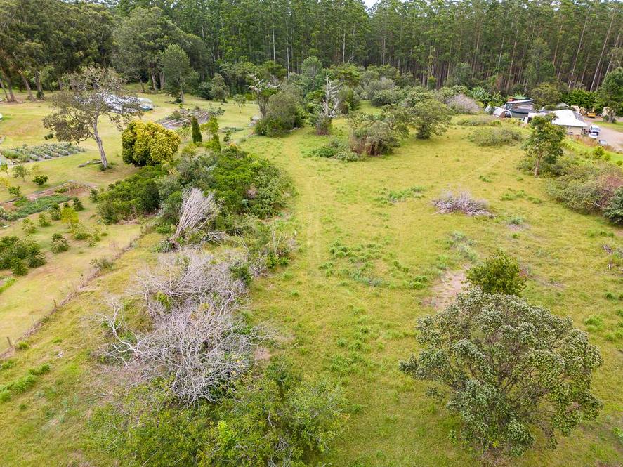 453501 PUAONO RD Land for Sale in HONOKAA 704096 Hawaii Life