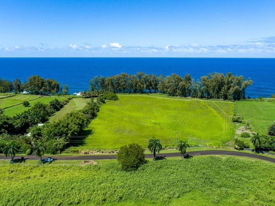 283278 BEACH RD Land for Sale in PEPEEKEO 704333 Hawaii Life