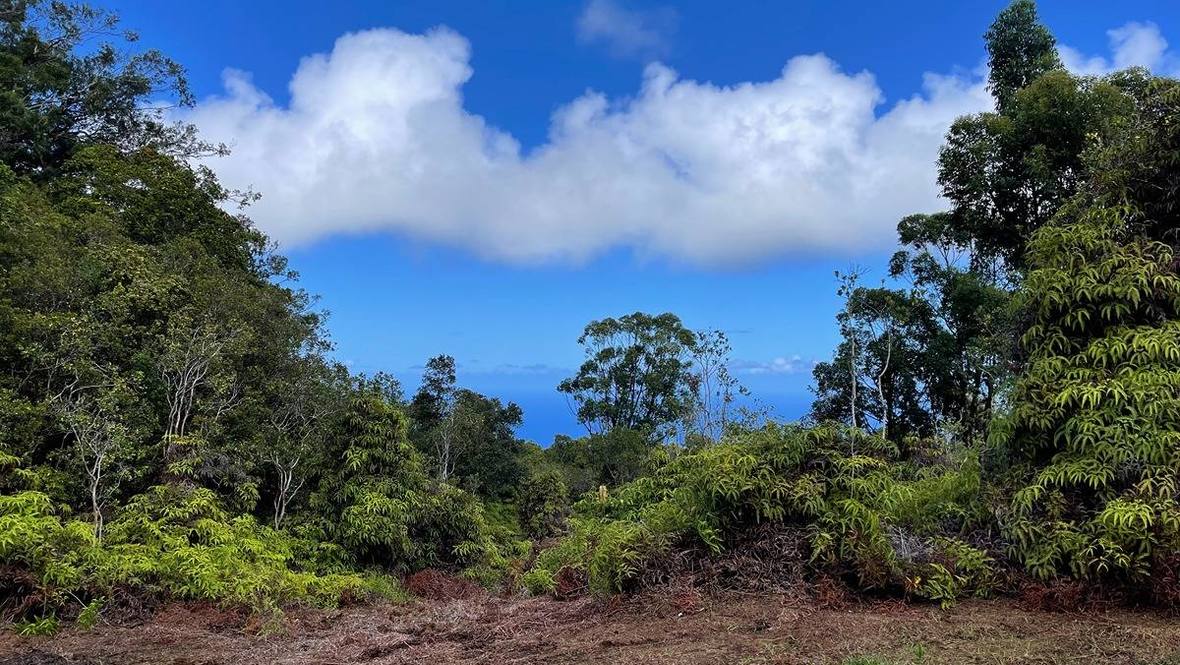 30 HOMESTEAD RD Land for Sale in LAUPAHOEHOE 703735 Hawaii Life