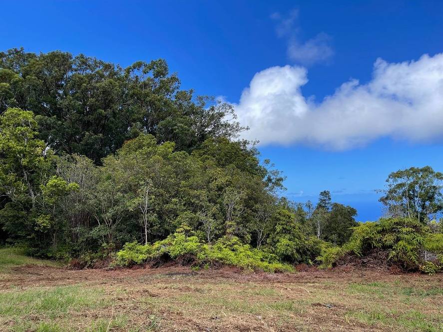 30 HOMESTEAD RD Land for Sale in LAUPAHOEHOE 703735 Hawaii Life