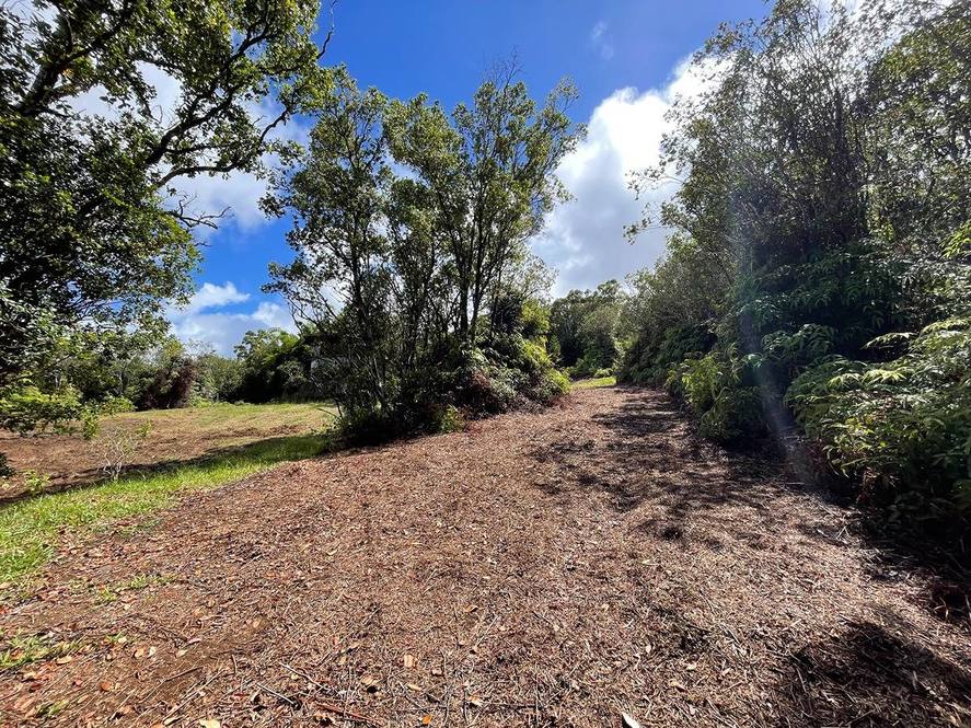 30 HOMESTEAD RD Land for Sale in LAUPAHOEHOE 703735 Hawaii Life