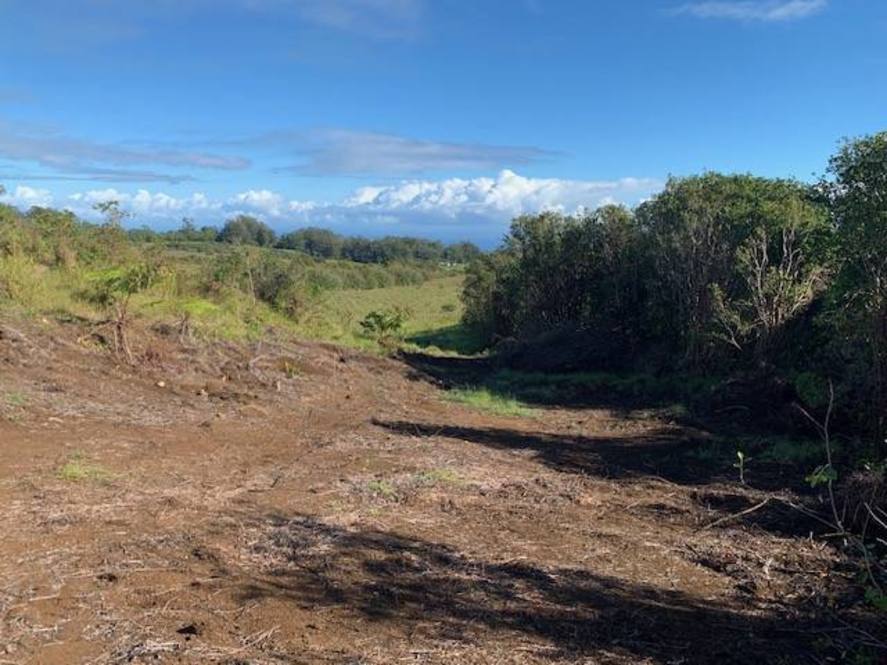 Land for Sale in HONOKAA 704411 Hawaii Life