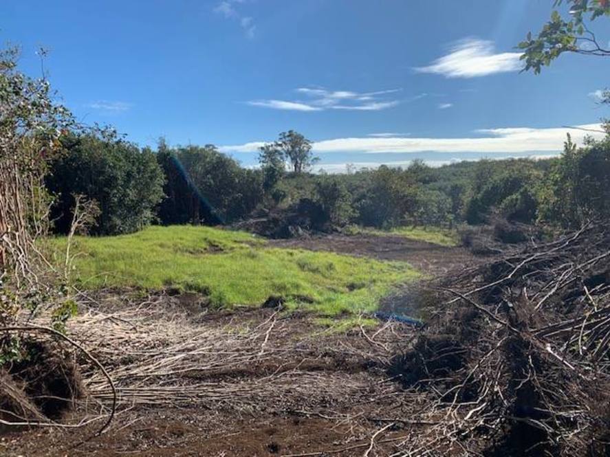 Land for Sale in HONOKAA 704411 Hawaii Life