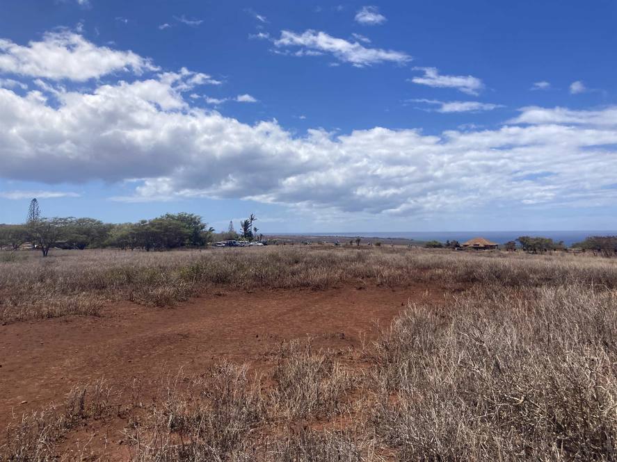 179 Pa Loa Loop Land for Sale in Maunaloa 399658 Hawaii Life