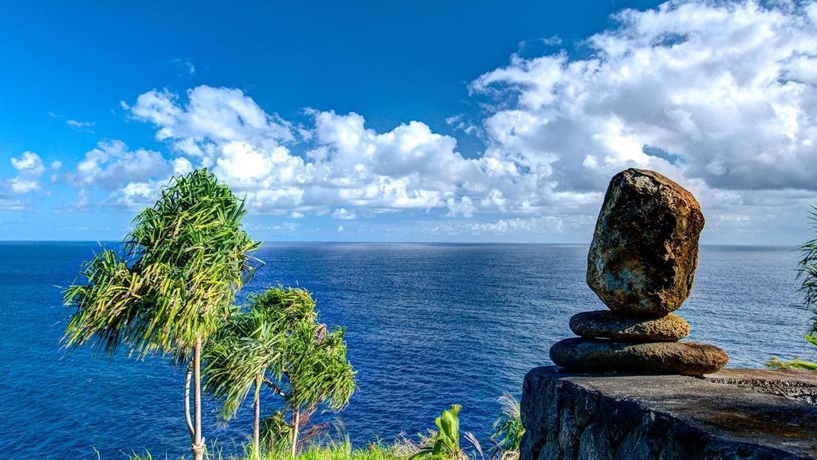 362850 HAWAII BELT RD 1 House for Sale in OOKALA 704500 Hawaii Life