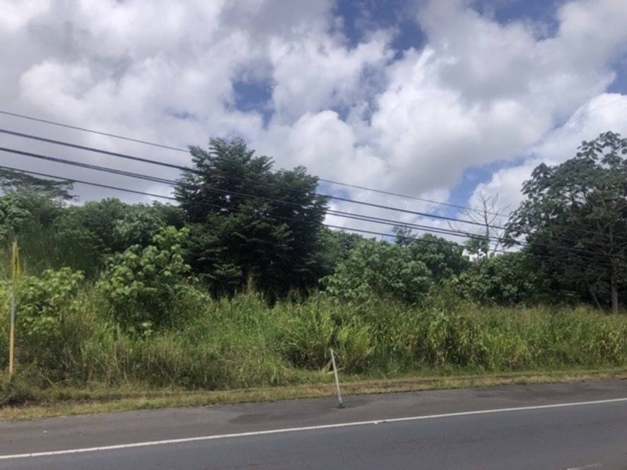 VOLCANO RD Land for Sale in KURTISTOWN 670933 Hawaii Life