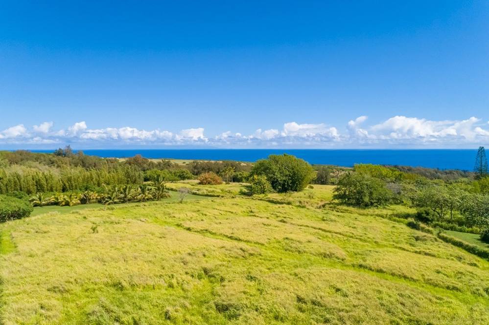UNION MILL RD Land for Sale in Kapaau 665113 Hawaii Life