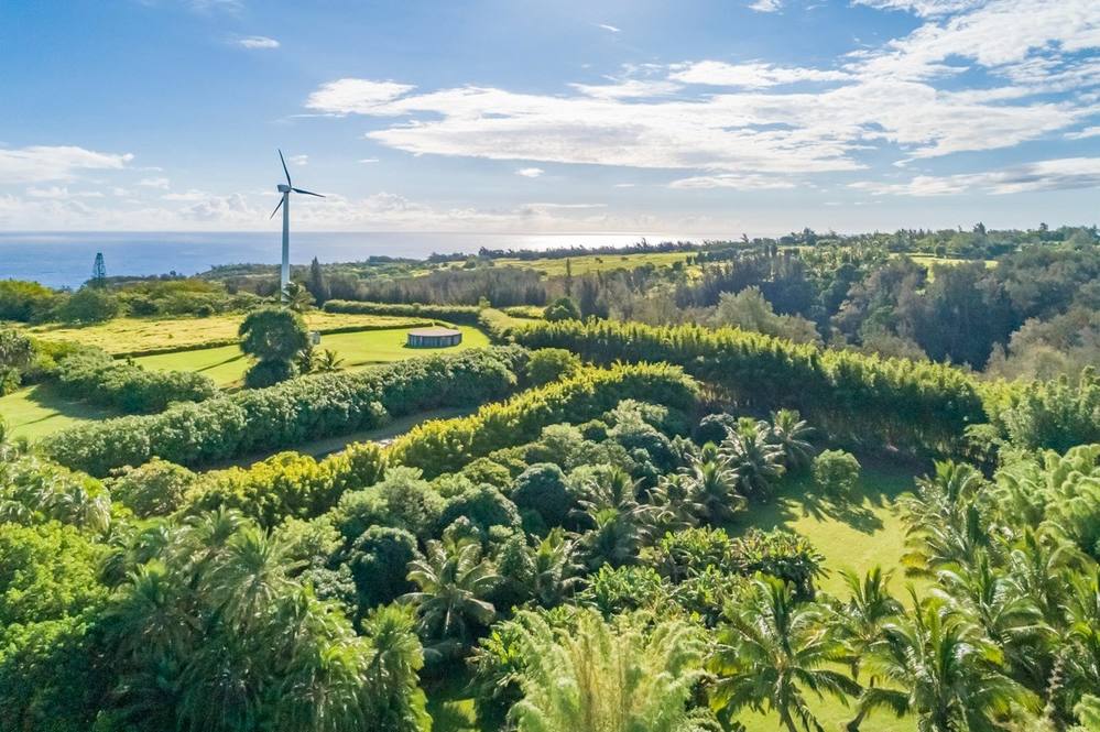 UNION MILL RD Land for Sale in Kapaau 665113 Hawaii Life