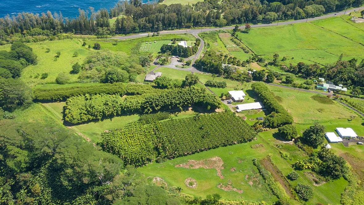 281829 OLD MAMALAHOA HWY Land for Sale in HONOMU 704507 Hawaii Life