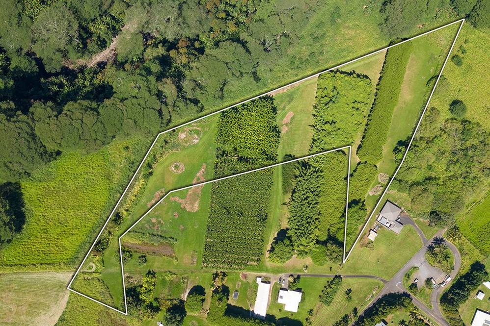 281829 OLD MAMALAHOA HWY Land for Sale in HONOMU 704507 Hawaii Life