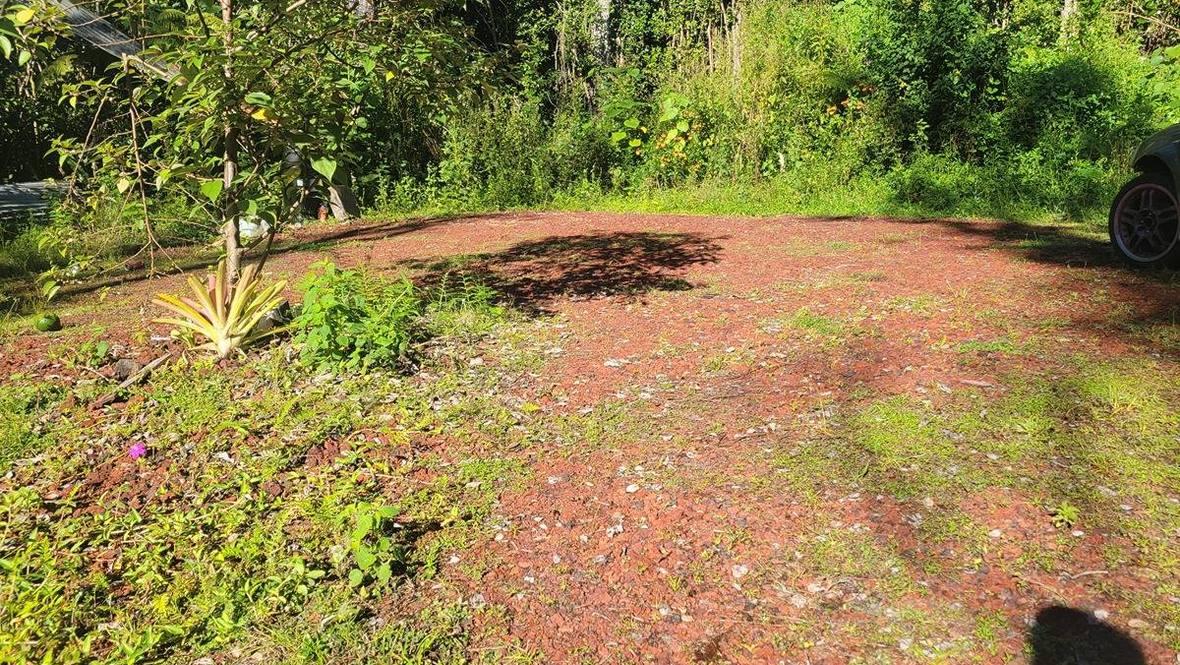 LANAI ST Land for Sale in PAHOA 704945 Hawaii Life
