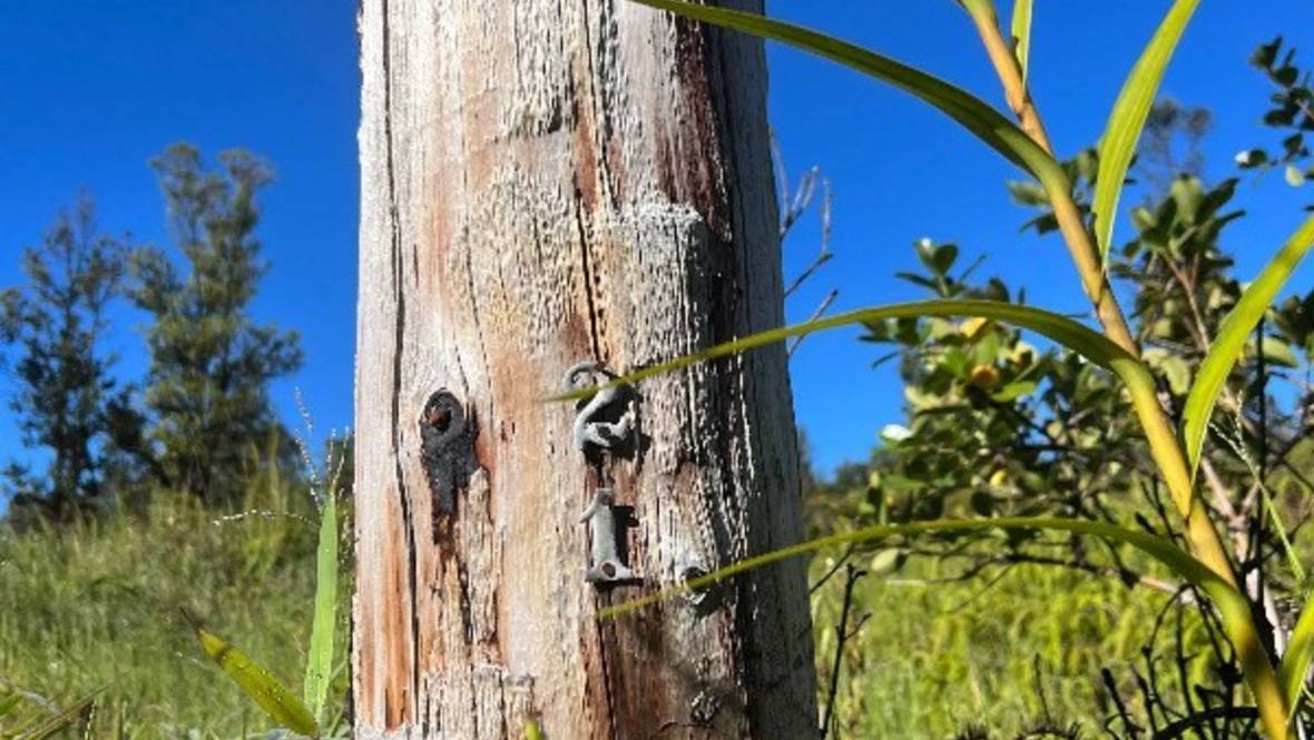 ROAD 3 (HOPUE) Land for Sale in Mt. View 670958 Hawaii Life