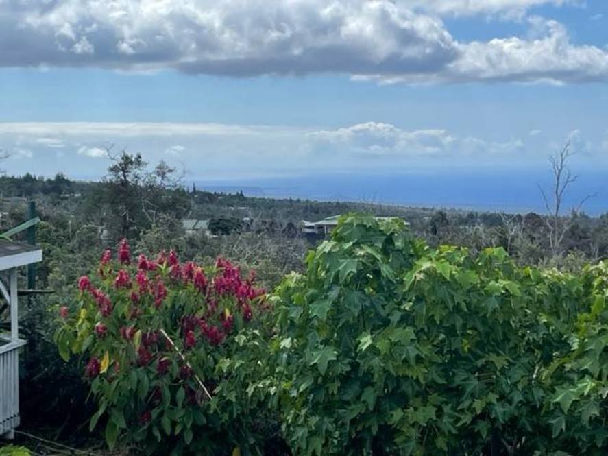 929066 GINGER BLOSSOM LN House for Sale in OCEAN VIEW 703945