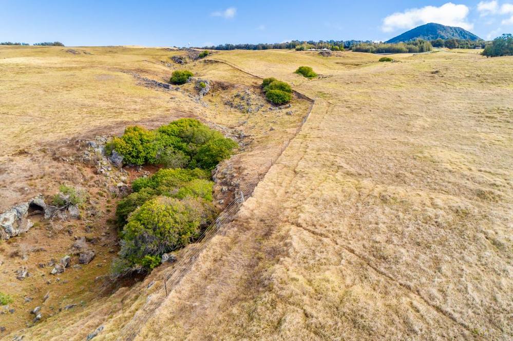 Land for Sale in KAMUELA 705067 Hawaii Life