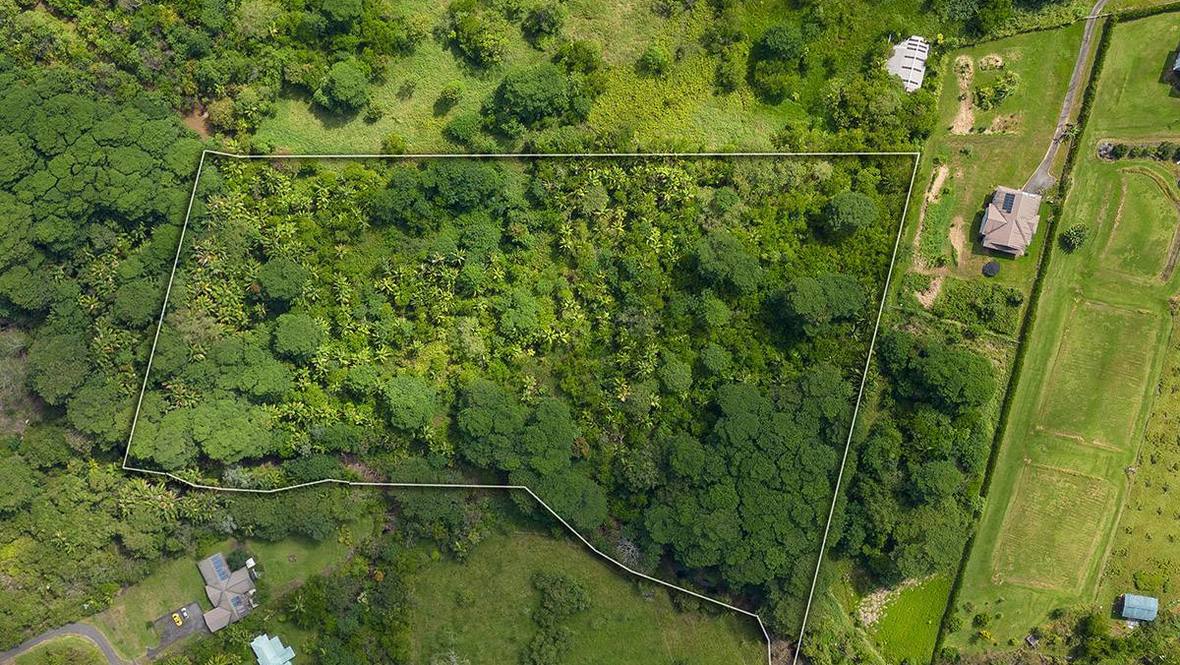 Land for Sale in HILO 704880 Hawaii Life