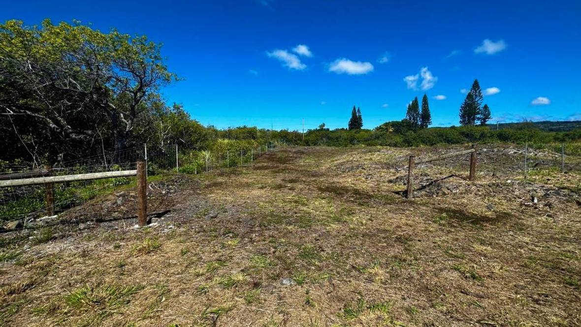 946550 LEWA LANI ST Land for Sale in NAALEHU 704919 Hawaii Life
