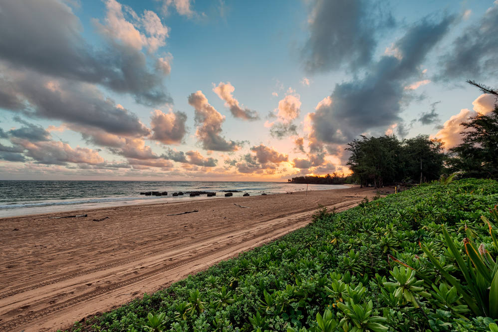 4222 PILIKAI RD House for Sale in ANAHOLA 704807 Ben Welborn