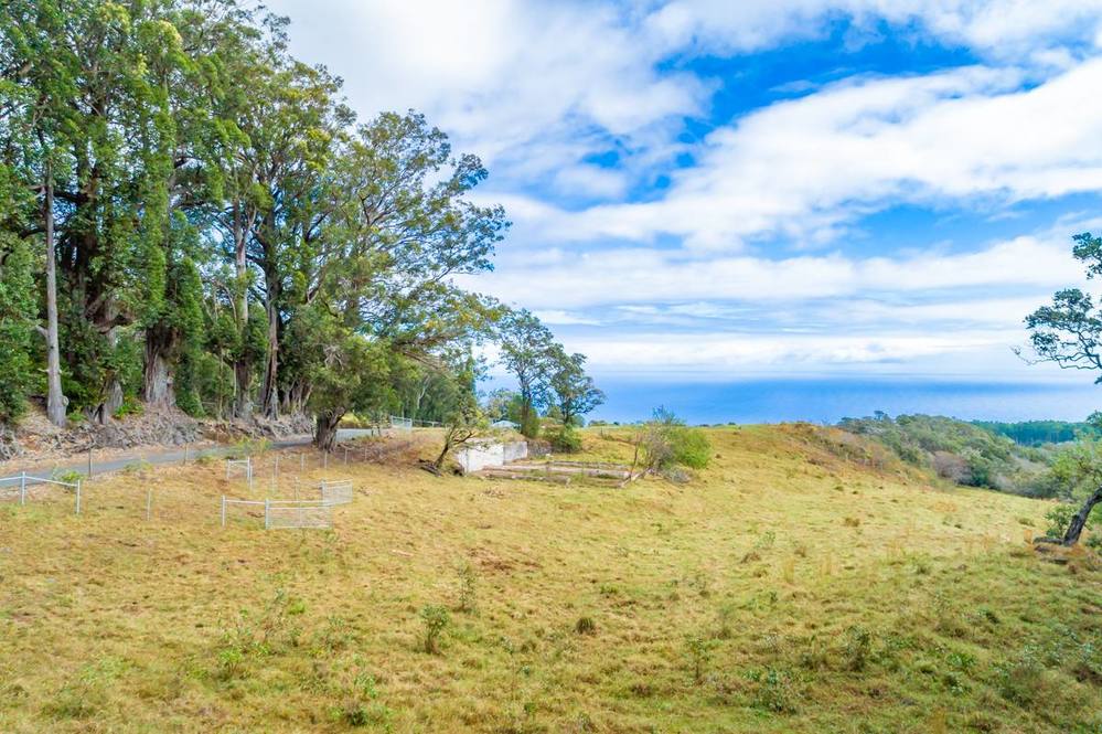431935 POHAKEA MAUKA RD Land for Sale in PAAUILO 705296 Dan
