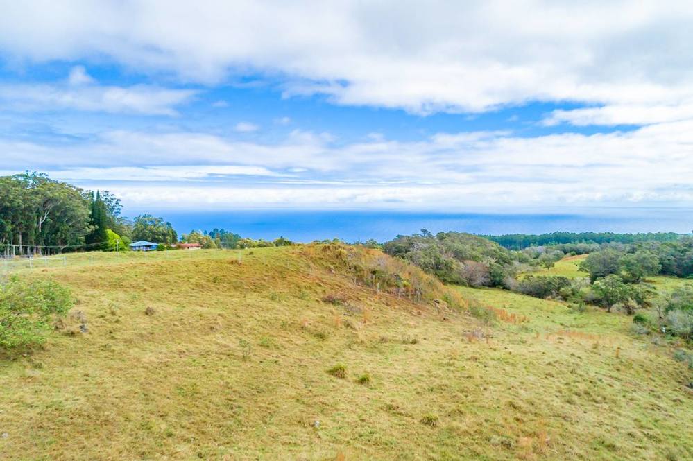 431935 POHAKEA MAUKA RD Land for Sale in PAAUILO 705296 Dan