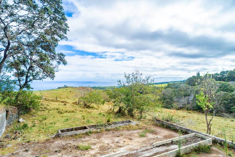 431935 POHAKEA MAUKA RD Land for Sale in PAAUILO 705296 Dan