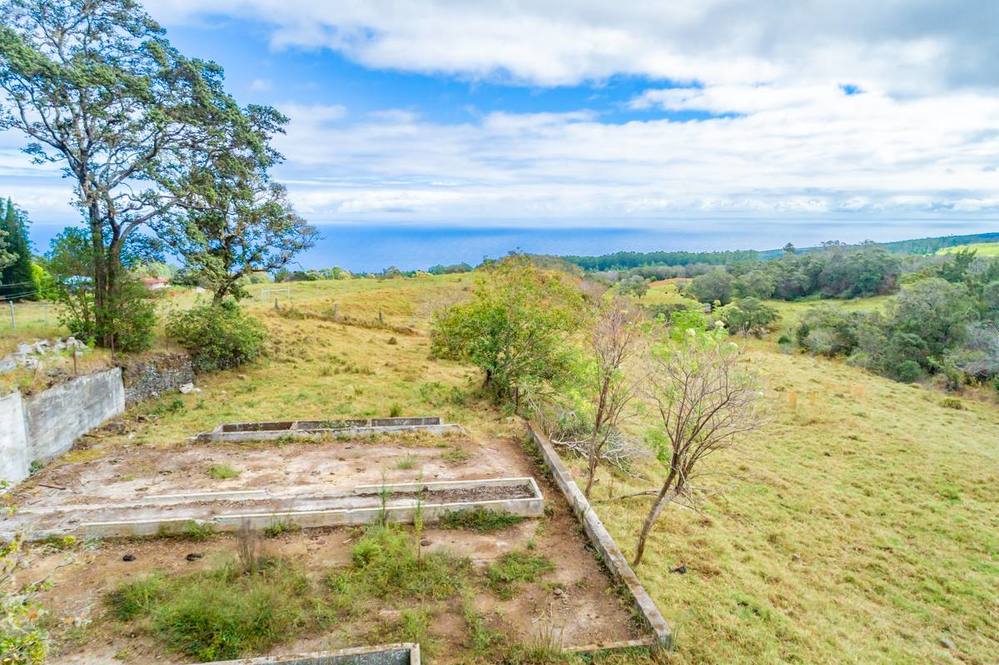 431935 POHAKEA MAUKA RD Land for Sale in PAAUILO 705296 Dan