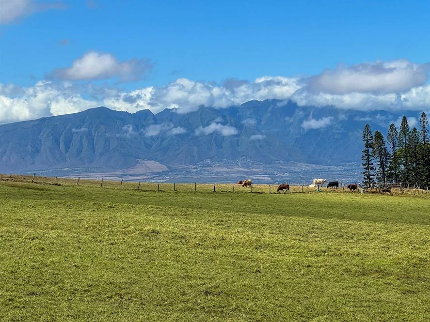 1040 Olinda Rd Land for Sale in Makawao 400154 Hawaii Life