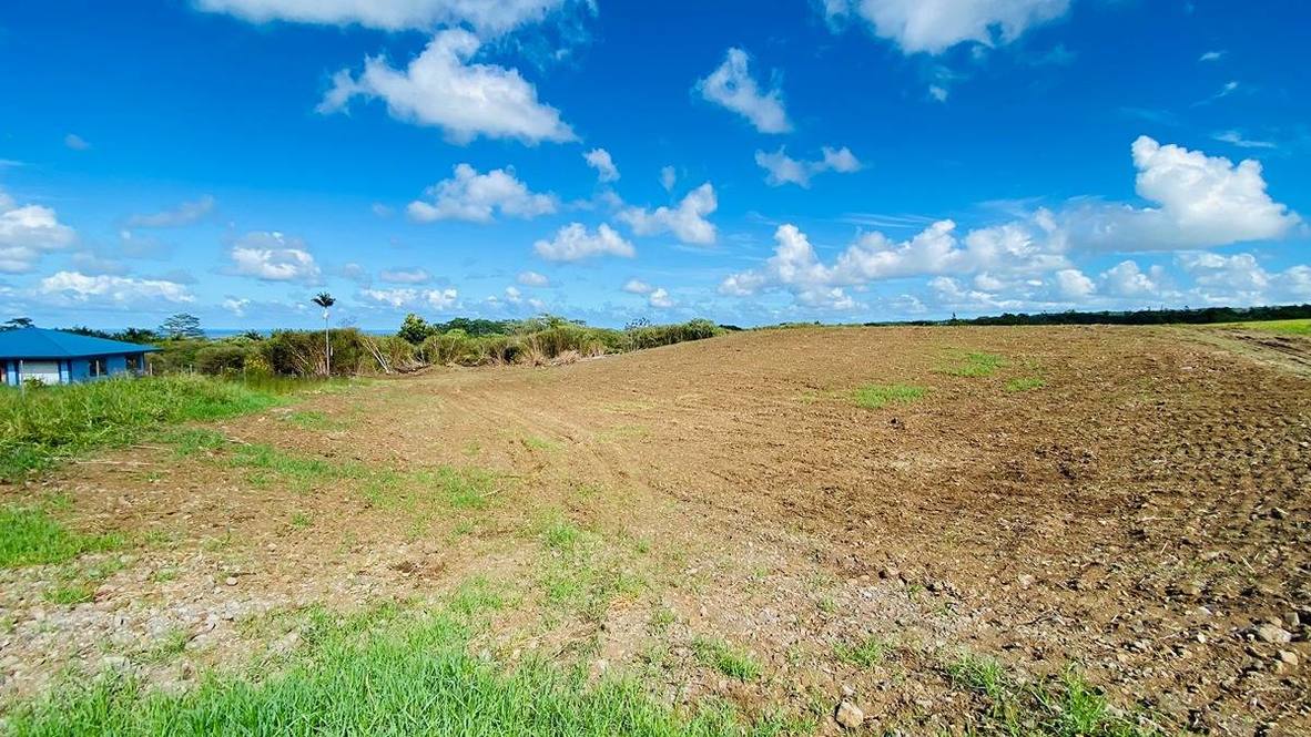 ALALOA RD Land for Sale in HILO 705451 Hawaii Life