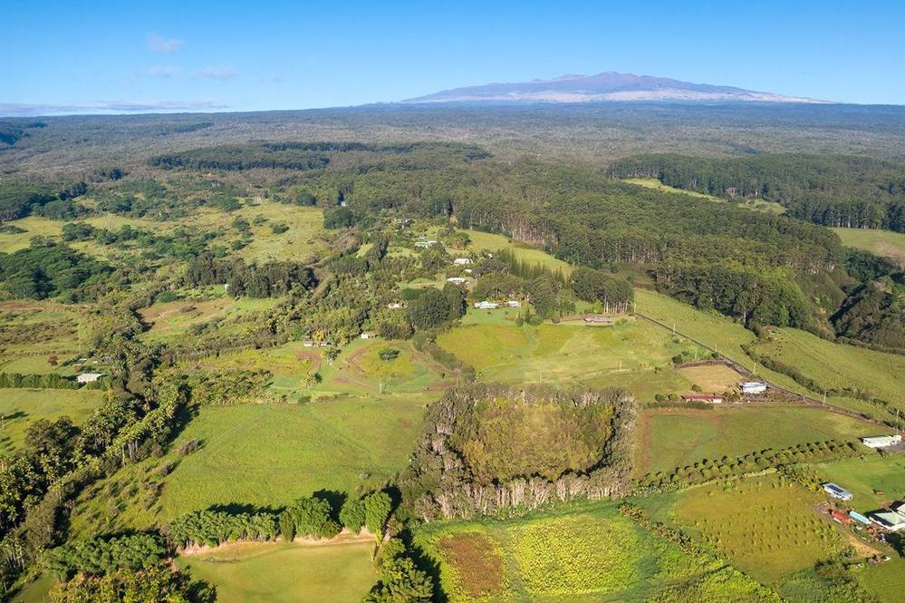 29627 CHIN CHUCK RD House for Sale in HAKALAU 670389 Hawaii Life